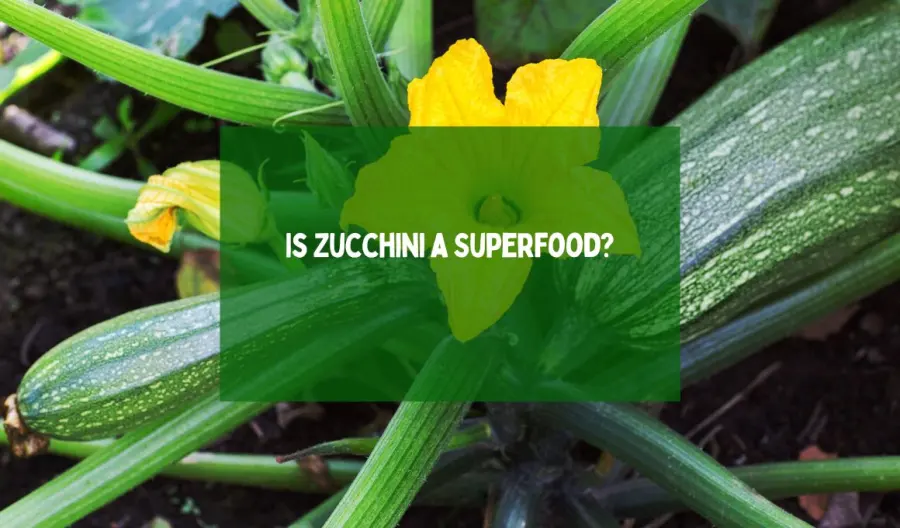 Is Zucchini a Superfood?