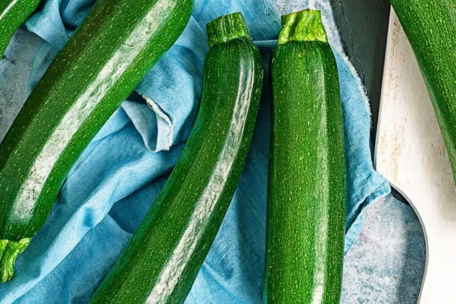 Fresh zucchini ready for the kitchen